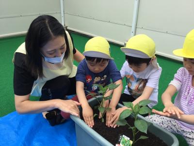 パート・アルバイト募集