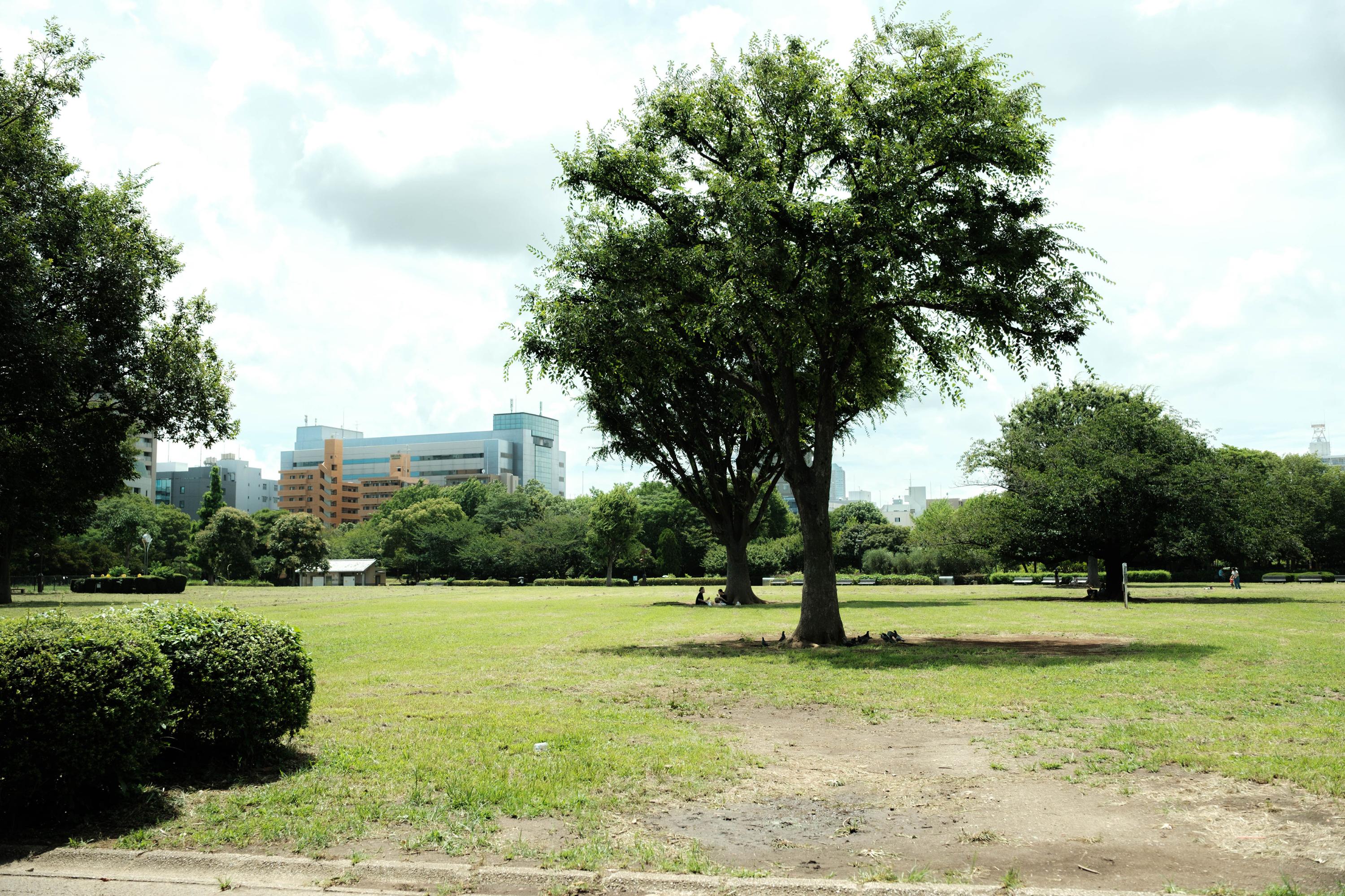 東京都江東区木場4-1-65にある、保育のお仕事求人