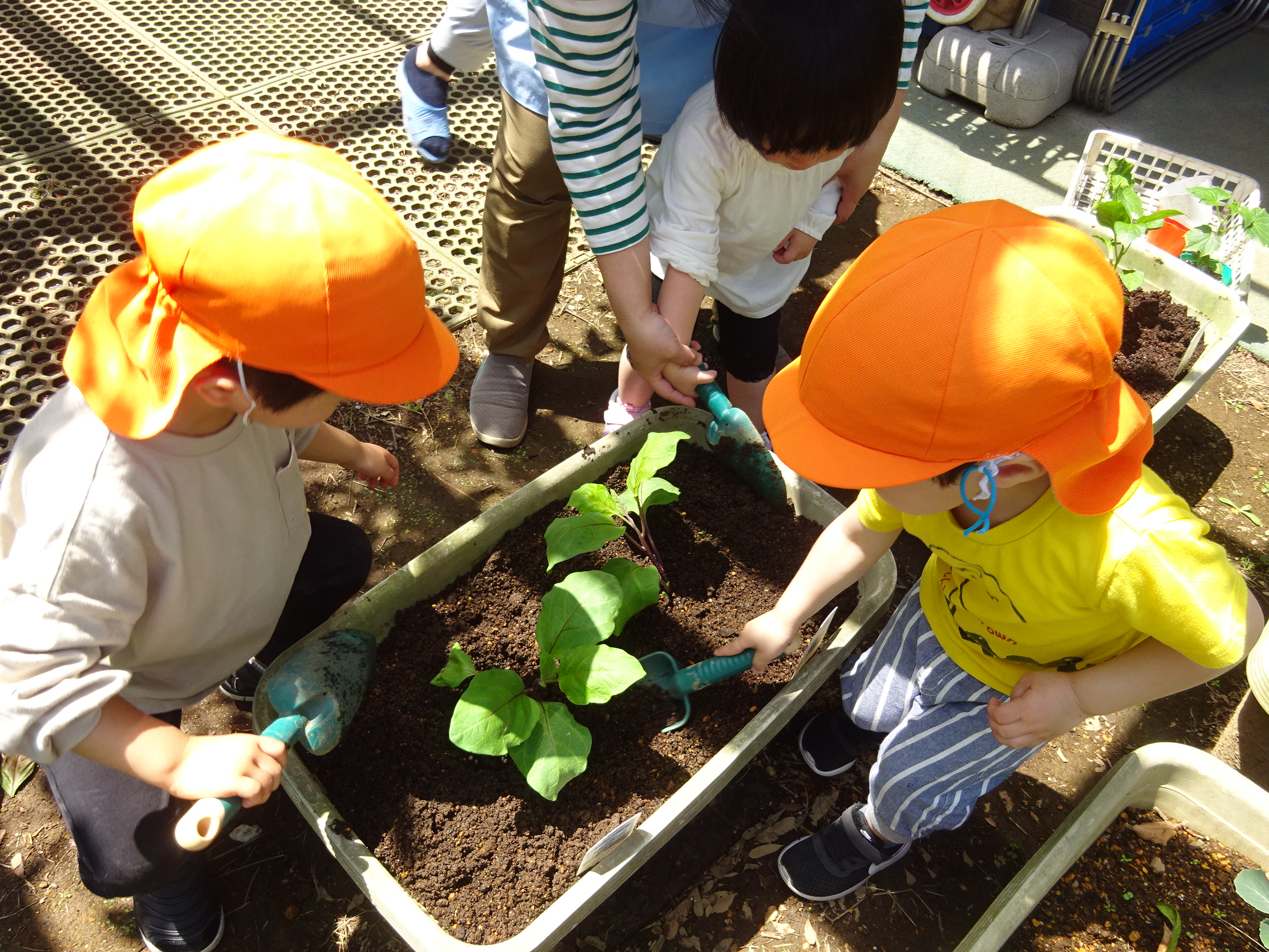 JR中央線(快速) 荻窪駅にある給食調理・栄養士のお仕事求人