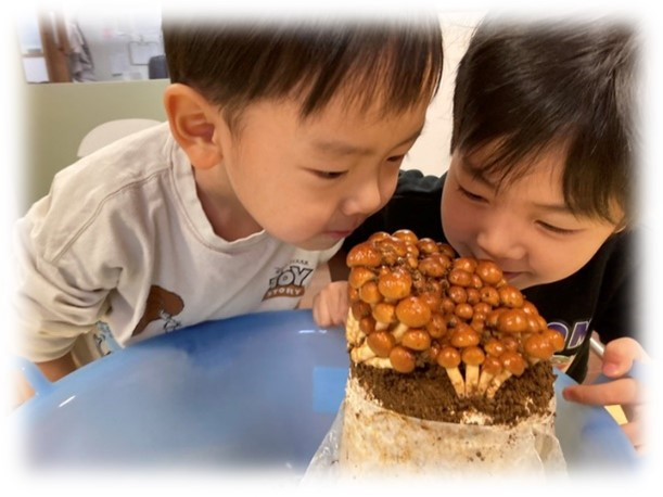 東京メトロ有楽町線 江戸川橋駅にある保育のお仕事求人