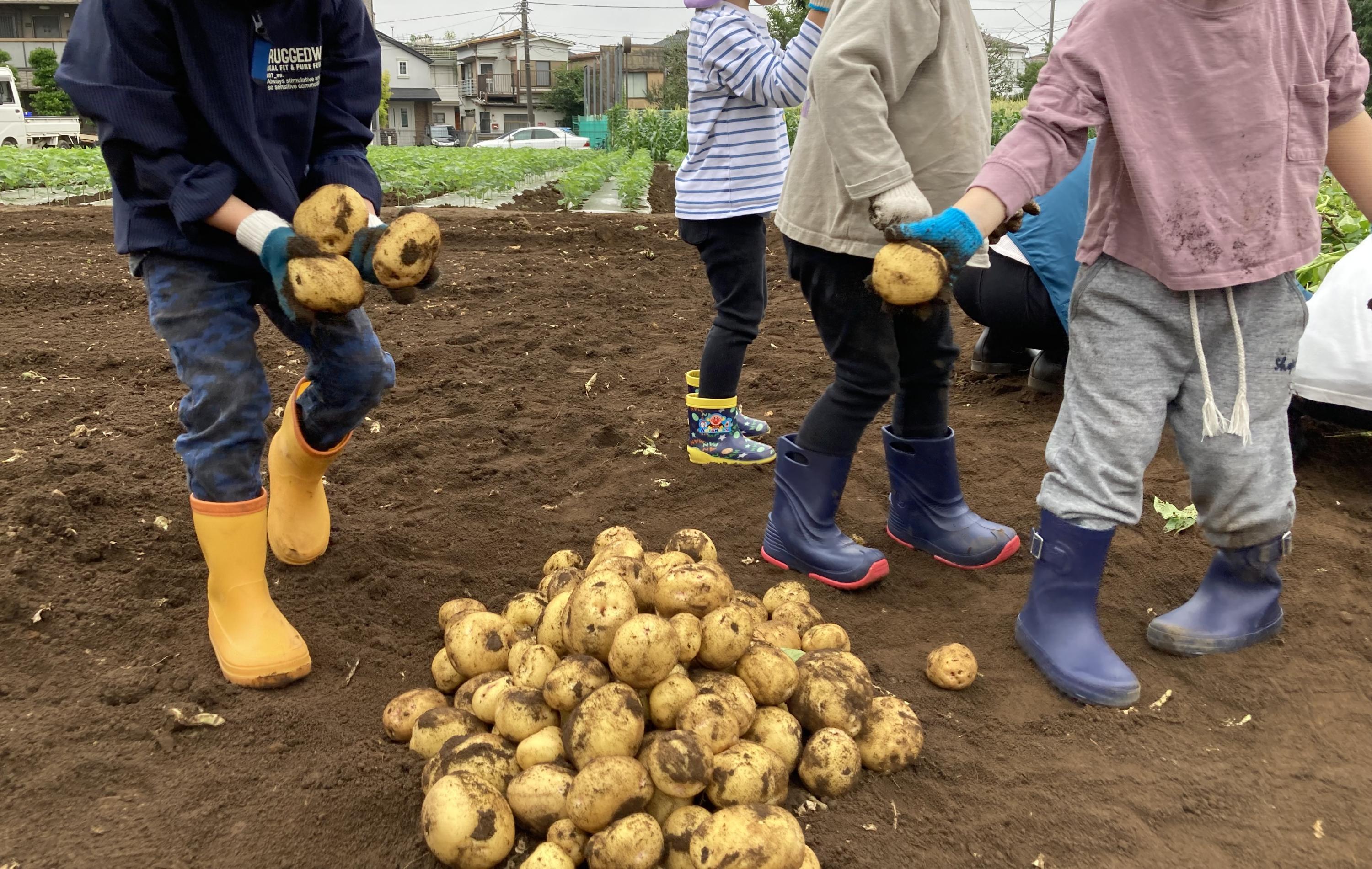 都営浅草線 泉岳寺駅にある保育のお仕事求人