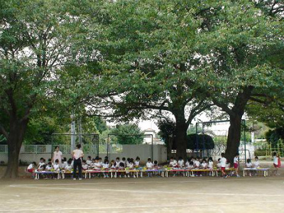 千葉県野田市山崎2553番地にある、幼稚園教諭のお仕事求人