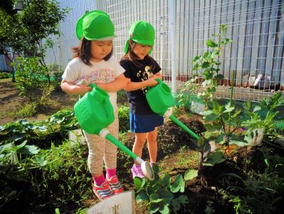 千葉県船橋市海神3-26-30にある、保育のお仕事求人