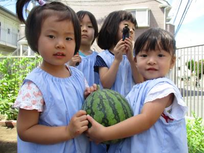 千葉県市川市南行徳3-12-12にある、保育のお仕事求人