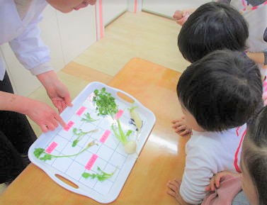 東京都港区南青山2-7-7にある、給食調理・栄養士のお仕事求人