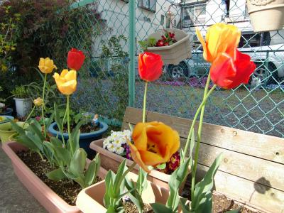 パート・アルバイト募集