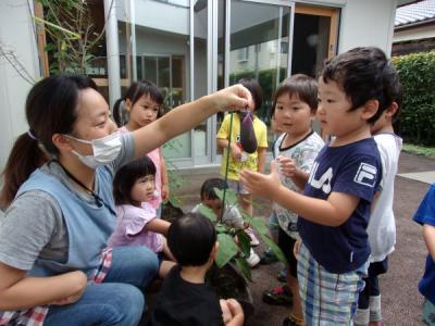 滋賀県草津市にある保育のお仕事求人