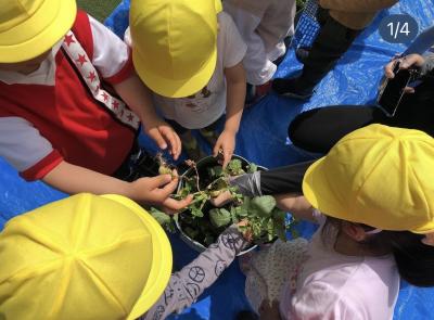 滋賀県彦根市大藪町2496-1にある、保育のお仕事求人