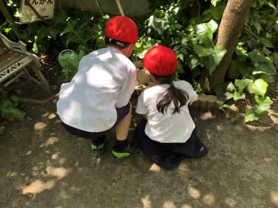 東京都杉並区西荻南1-12-12にある、幼稚園教諭のお仕事求人