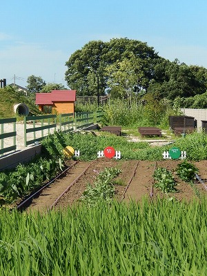 茨城県水戸市平須町2366-1にある、保育のお仕事求人