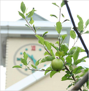 兵庫県西宮市にある幼稚園教諭のお仕事求人