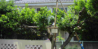 東京都大田区中央4-13-18にある、保育のお仕事求人