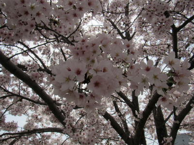 パート・アルバイト募集