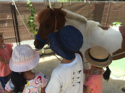 東京都中野区南台3-35-3にある、保育のお仕事求人