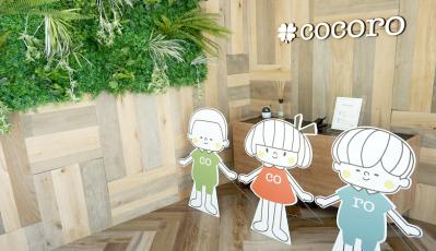 千葉県柏市にある保育のお仕事求人