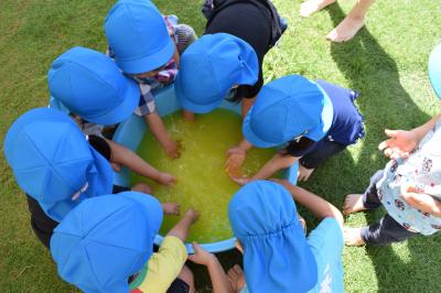 埼玉県川越市にある保育のお仕事求人