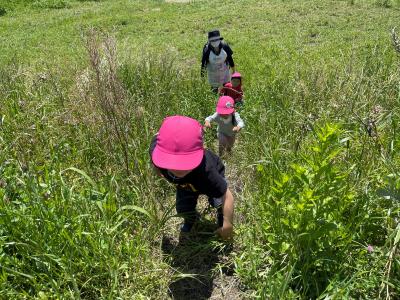 埼玉県にある保育のお仕事求人