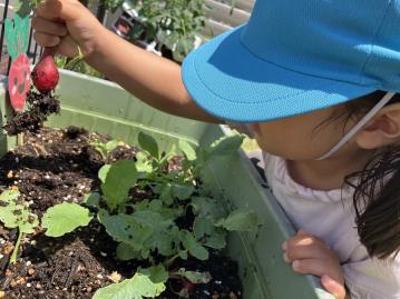 埼玉県戸田市南町6-14にある、企業内保育室（保育のお仕事）求人