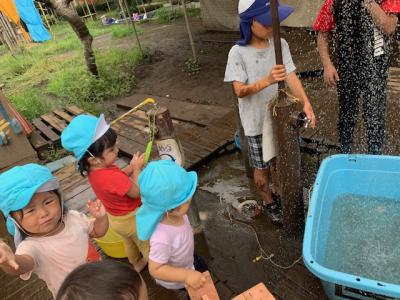 東京都板橋区小茂根4-20-2-1Fにある、保育のお仕事求人