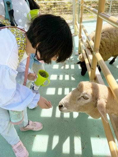 愛知県岡崎市法性寺町字郷前32番にある、発達支援・児童指導員のお仕事求人