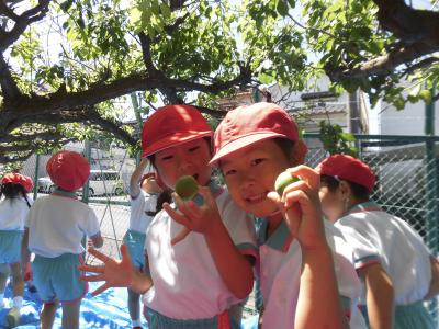 愛知県名古屋市緑区にある幼稚園教諭のお仕事求人