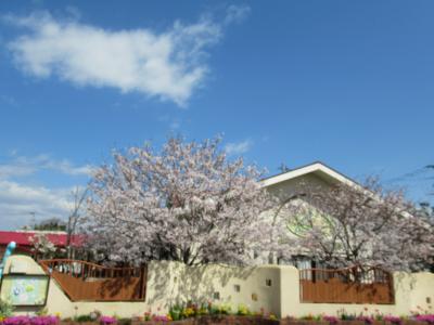 佐賀県佐賀市にある幼稚園教諭のお仕事求人