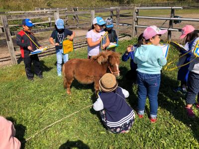 静岡県浜松市南区本郷町1338-1にある、発達支援・児童指導員のお仕事求人