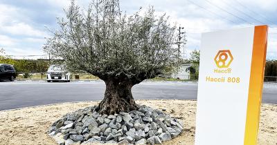 三重県四日市市にある発達支援・児童指導員のお仕事求人